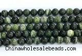 CZJ573 15.5 inches 10mm round green zebra jasper gemstone beads