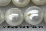 FWP131 15 inches 12mm - 13mm potato white freshwater pearl strands