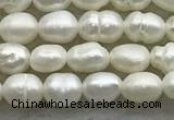 FWP157 14.5 inches 3mm - 4mm rice white freshwater pearl strands