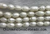 FWP205 15 inches 10mm - 11mm rice white freshwater pearl strands