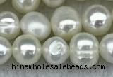 FWP35 14.5 inches 5mm - 6mm potato white freshwater pearl strands