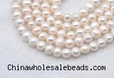 FWP482 14 inches 7mm - 8mm potato white freshwater pearl strands