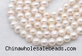 FWP484 14.5 inches 9mm - 10mm potato white freshwater pearl strands