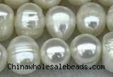 FWP55 15 inches 6mm - 7mm potato white freshwater pearl strands