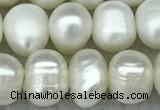 FWP65 15 inches 7mm - 8mm potato white freshwater pearl strands