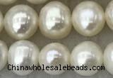 FWP81 15 inches 7mm - 8mm potato white freshwater pearl strands