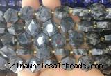 HABS29 15 inches 12mm faceted hexagon black labradorite beads wholesale