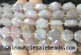 HABS30 15 inches 12mm faceted hexagon moonstone beads wholesale