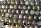 LBBS03 15 inches 10mm round natural labradorite beads wholesale