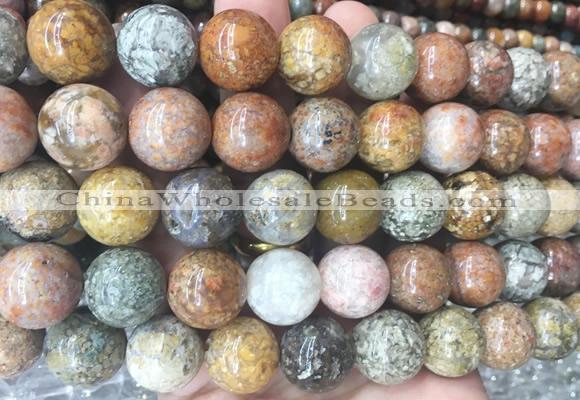 LSBS227 15 inches 16mm round ocean jasper gemstone beads wholesale