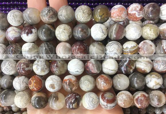 LSBS241 15 inches 14mm round mexican crazy agate beads wholesale