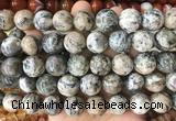 LSBS979 15 inches 16mm round sodalite gemstone beads wholesale