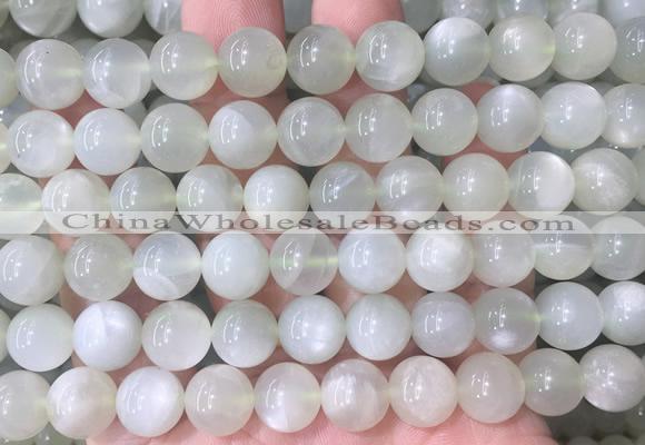 MSBS33 15 inches 10mm round green moonstone gemstone beads wholesale