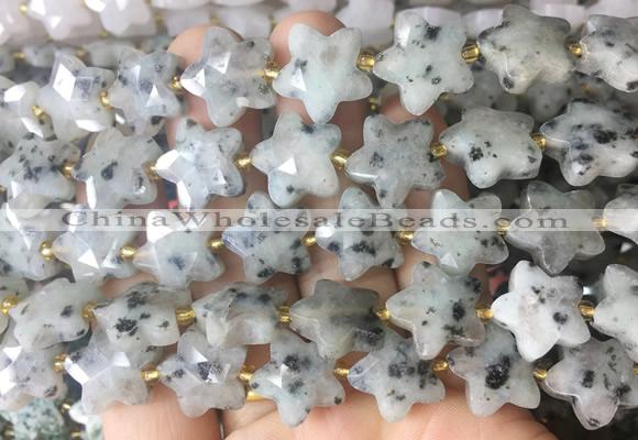 RGBS66 15 inches 14mm faceted star sesame Jasper beads wholesale