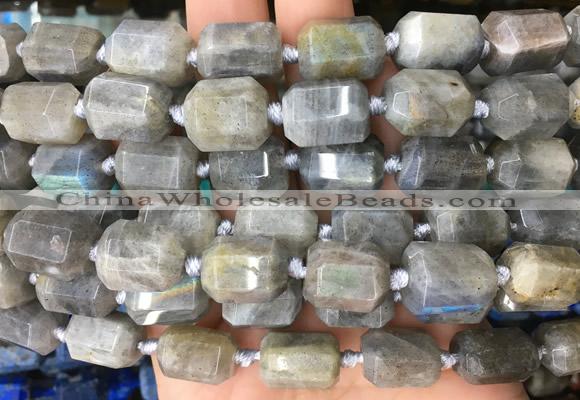 TBBS47 15 inches 12*16mm faceted tube labradorite beads wholesale