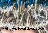 TDBS03 Top drilled 6*20mm - 8*55mm sticks sea urchin shell beads wholesale